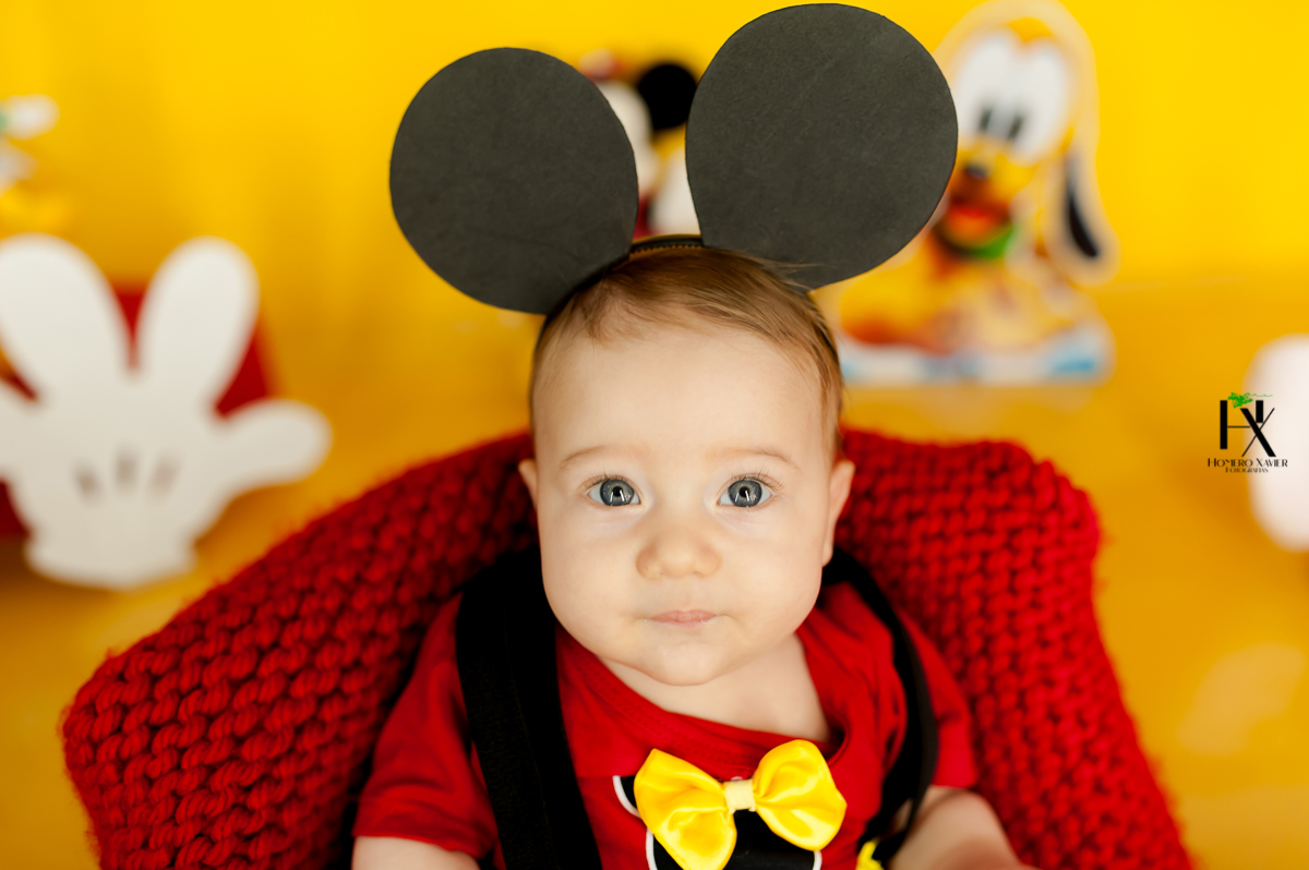 Mini Book Infantil – Turma do Mickey