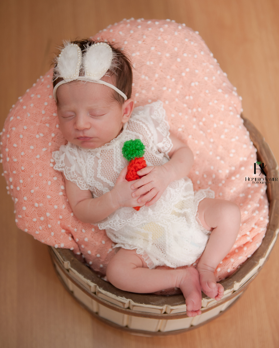 fotos newborn em bh